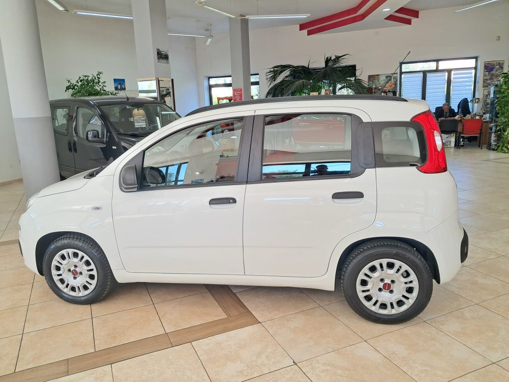 FIAT PANDA 1.2 Easy GPL CASA MADRE(RINNOVATO FINO AL 2035)