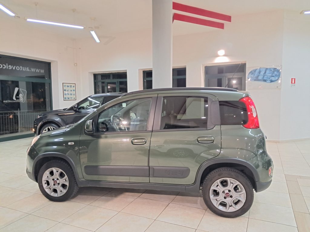 FIAT PANDA 4X4 CROSS BENZINA